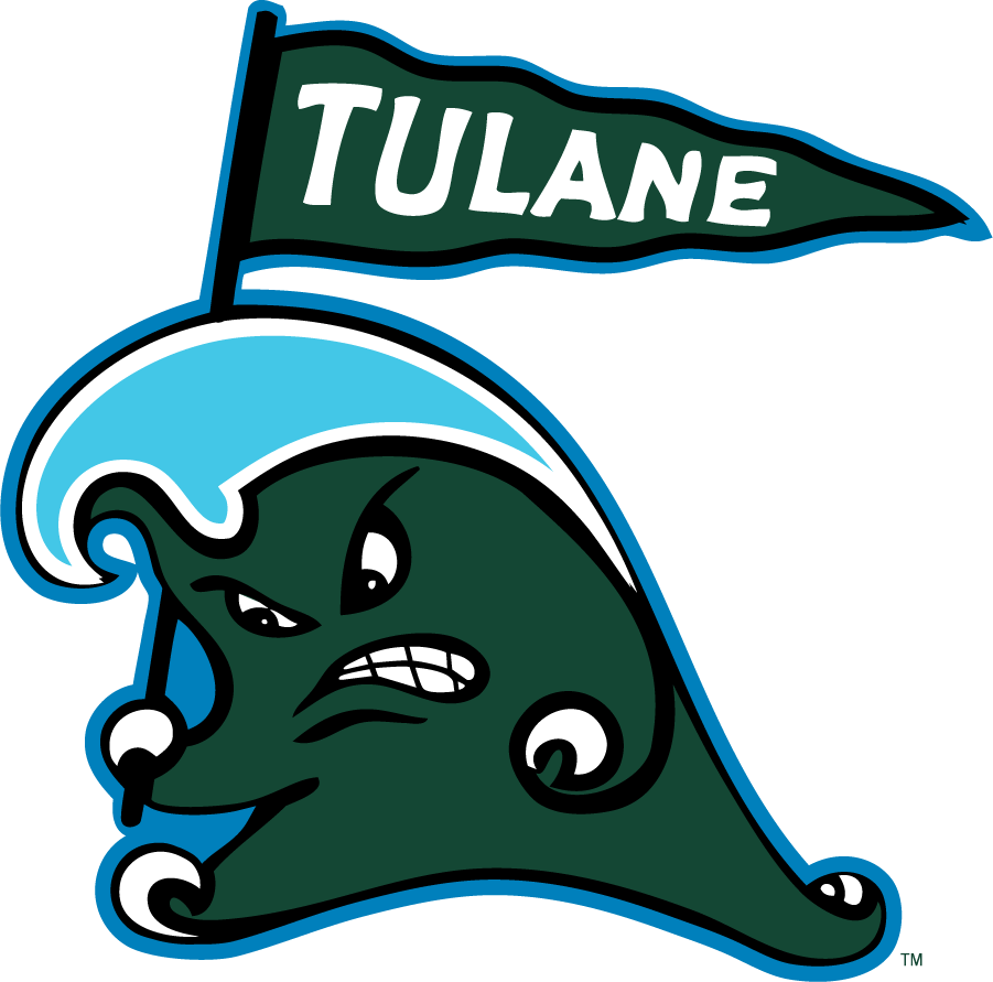 Tulane Green Wave 2016-2017 Secondary Logo iron on transfers for T-shirts
